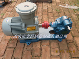 KCB铜齿轮泵,防爆齿轮泵